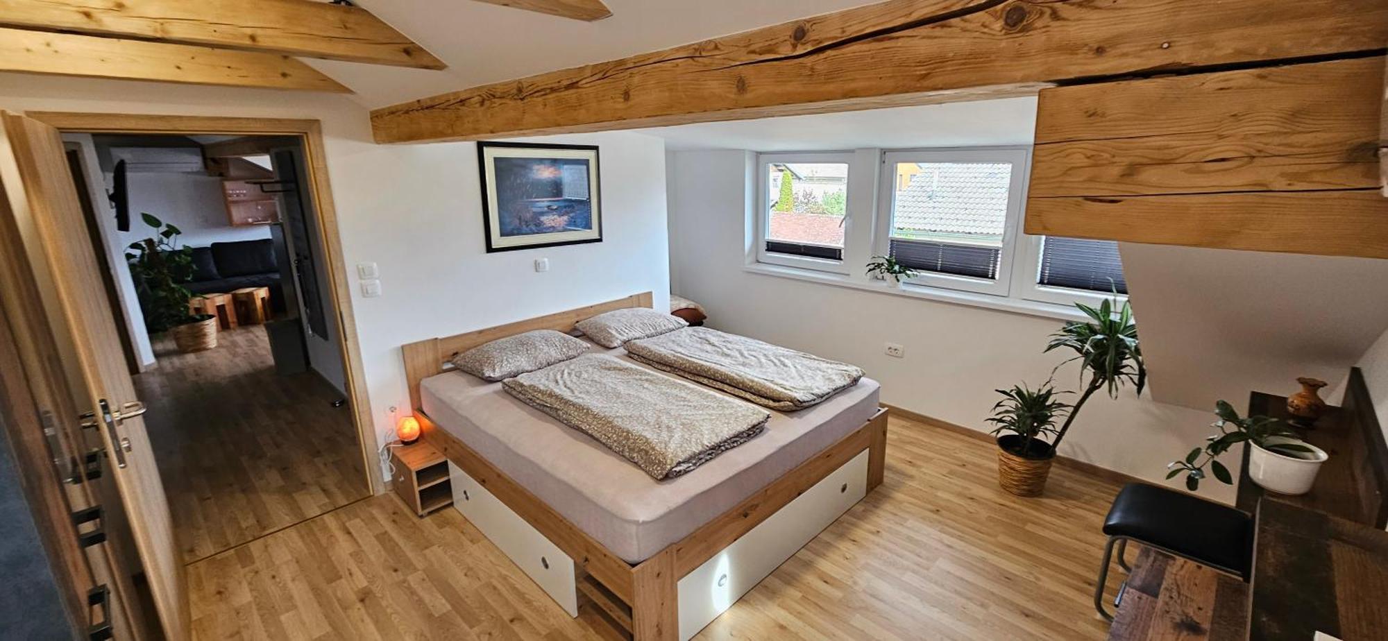 Apartma Ajja Šenčur المظهر الخارجي الصورة